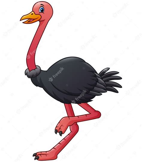 Dibujos animados de animales avestruz aislado | Vector Premium