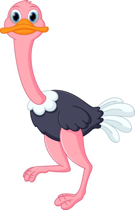 Dibujos animados de avestruz feliz | Descargar Vectores ...