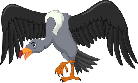 Dibujos animados de pájaro buitre | Vector Premium