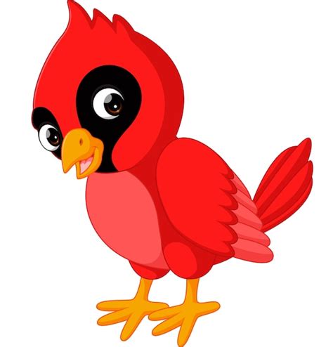 Dibujos animados hermoso pájaro cardenal | Vector Premium