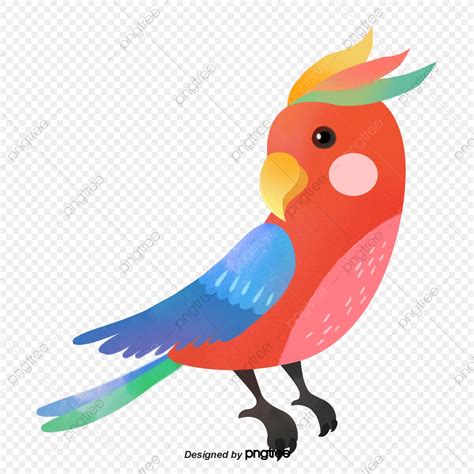 Dibujos Animados Pájaros De Color, Aves De Colores, Animal, Cartel PNG ...