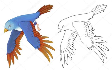 Dibujos: aves a color volando | Dibujos animados de aves ...
