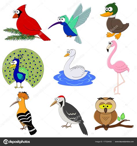 Dibujos: aves animadas | Conjunto de aves divertidos ...
