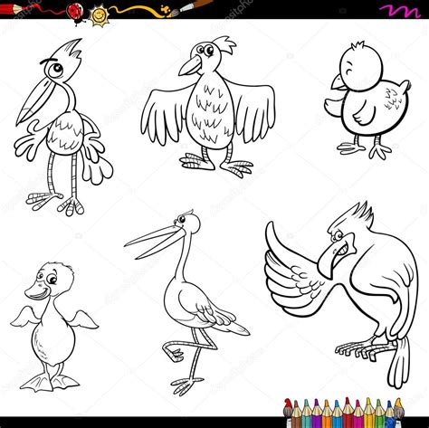 Dibujos: aves para colorear | Página de aves de dibujos animados para ...