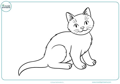 Dibujos de Animales Domésticos para Colorear Imprimir y Pintar