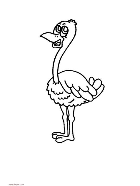 Dibujos de avestruz para colorear