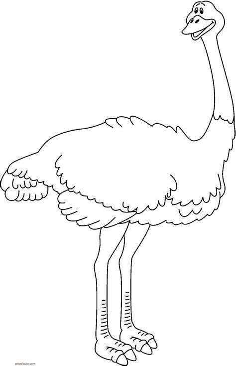Dibujos de avestruz para colorear