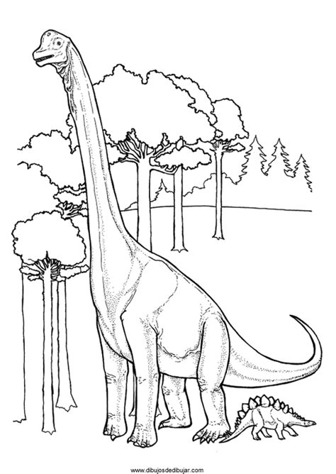 Dibujos de dinosaurios para colorear e imprimir  6 de 6 ...