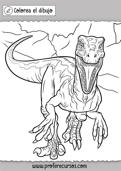 Dibujos de Dinosaurios Velociraptor Colorear   Profe Recursos