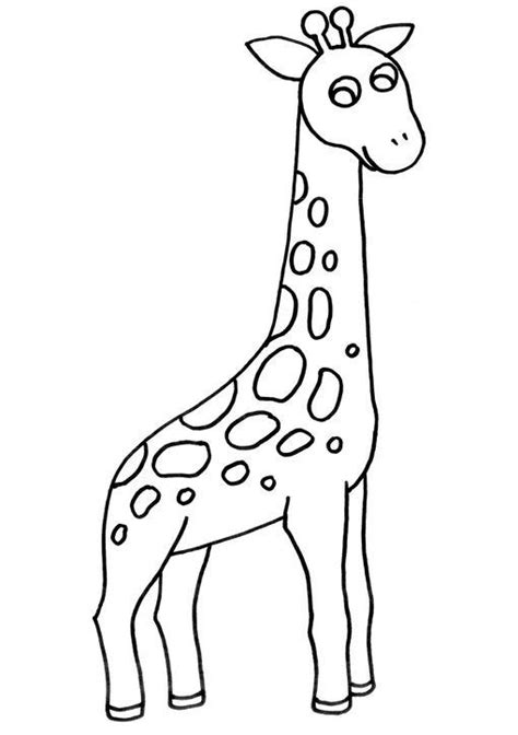 Dibujos de jirafas faciles   Imagui