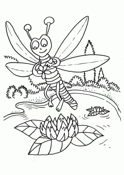 Dibujos de libélulas para pintar | Colorear imágenes