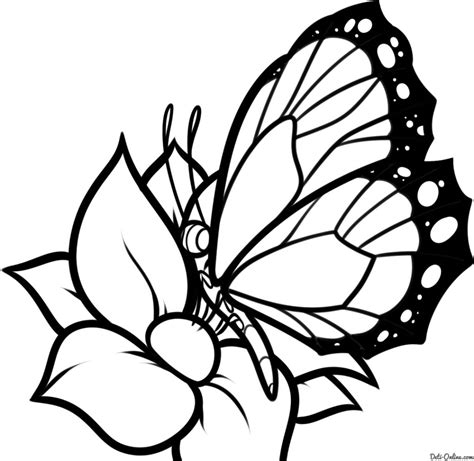 Dibujos de mariposas para colorear e imprimir