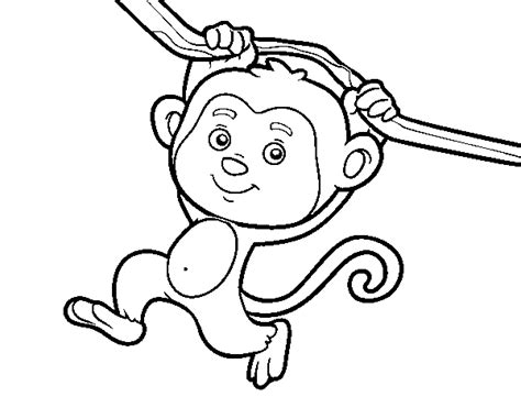 Dibujos de Monos para colorear, descargar e imprimir | Colorear imágenes