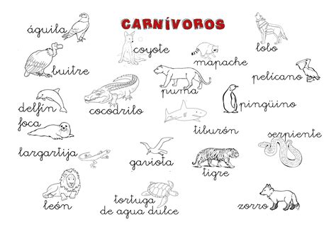 Dibujos De Ninos: 10 Animales Carnivoros Para Dibujar