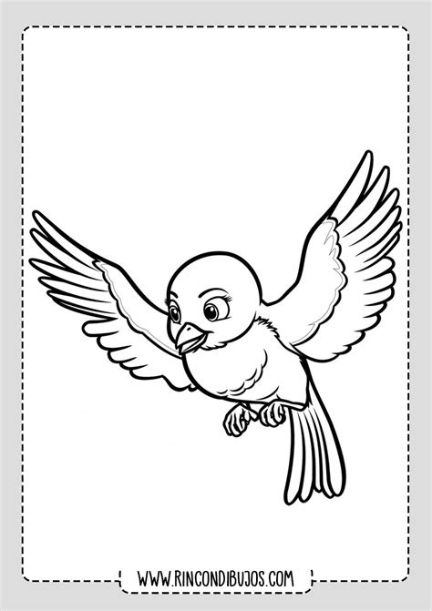 Dibujos de Pájaros para colorear | Imprimir y Colorear