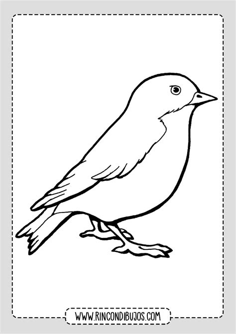 Dibujos de Pajaros para pintar   Rincon Dibujos | Dibujos de pájaro ...