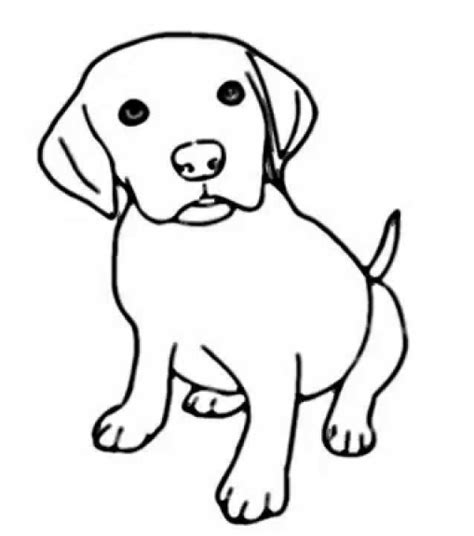 Dibujos de perros   Cómo dibujar un perro fácil   Imágenes ...