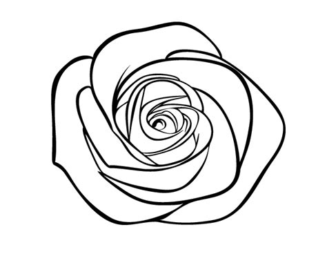 dibujos de rosas   Buscar con Google | sant jordi ...