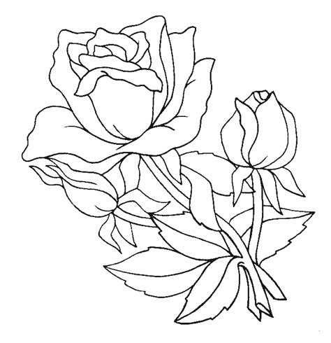 Dibujos de Rosas para colorear   Imágenes para Pintar
