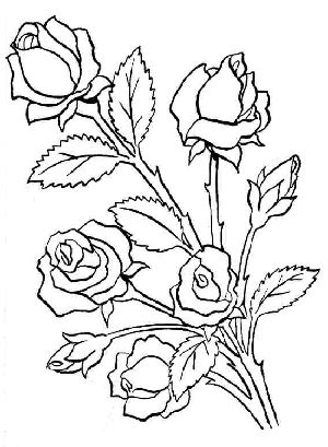 Dibujos de rosas para pintar y regalar el Día de San Valentín ...