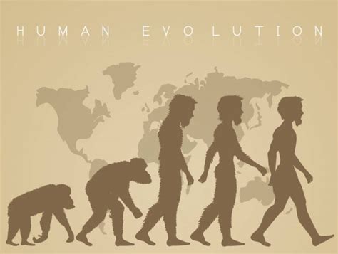 Dibujos: evolucion humana dibujo | Dibujos animados de la ...