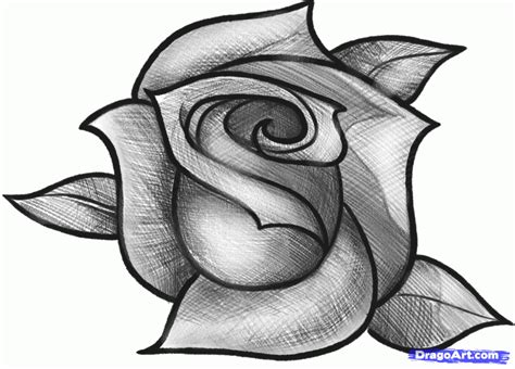 Dibujos faciles paso a paso: Dibuja una rosa