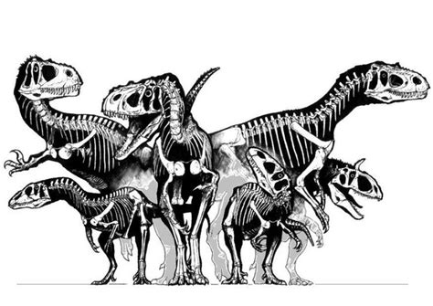 Dibujos para colorear de esqueletos de humano y animales – Agridulce