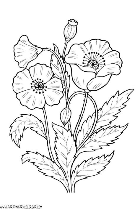 dibujos para colorear de flores amapolas 011.gif | mothers ...