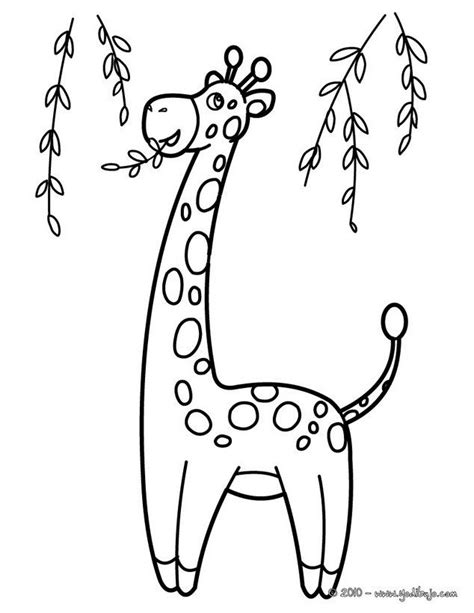 dibujos para colorear jirafas infantiles   Busca de Google ...
