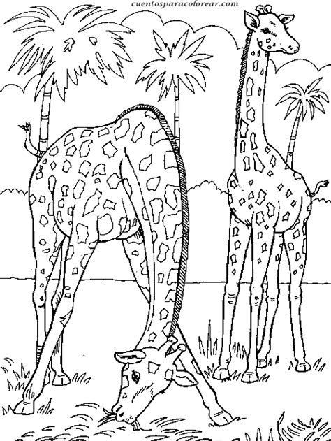 Dibujos para colorear jirafas