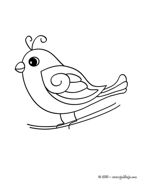 Dibujos para colorear pájaro silvestre   es.hellokids.com