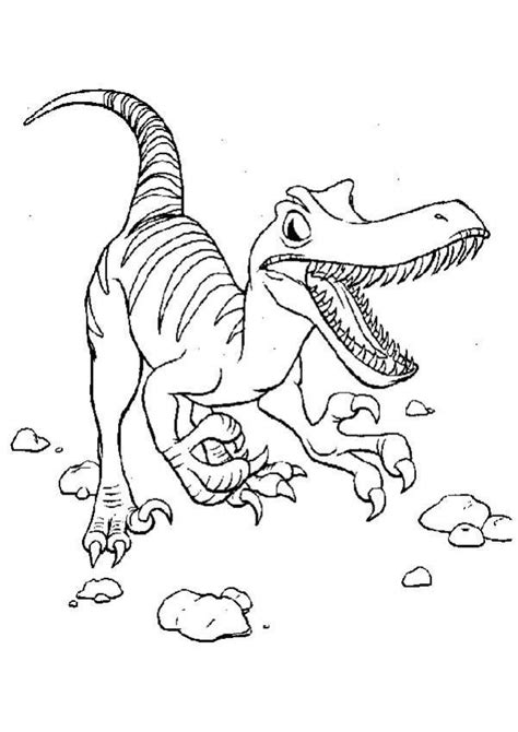 Dibujos para colorear velociraptor   es.hellokids.com