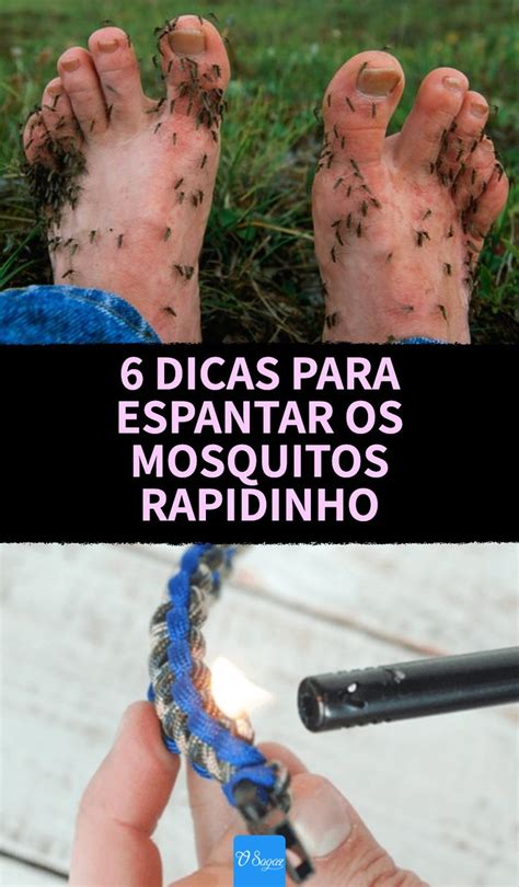 Dicas para espantar mosquitos | Hausmittel gegen mücken ...