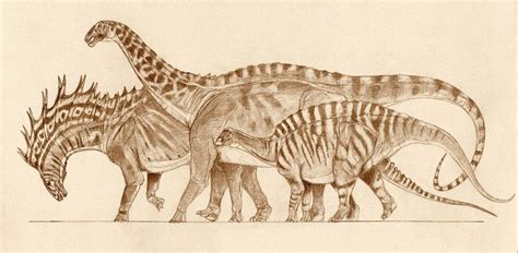 Dicraeosauridae: from left Brachytrachelopan mesai Dicraeosaurus ...
