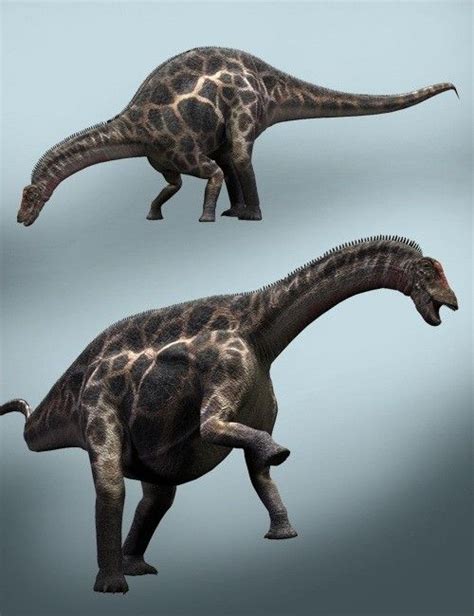 Dicraeosaurus | 3D Models for Daz Studio and Poser | Prehistoric ...