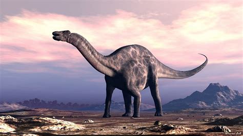 Dicraeosaurus hansemanni   Beschreibung, Dinodata.de