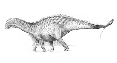 Dicraeosaurus | pencil on Strathmore drawing paper | Paul Heaston | Flickr