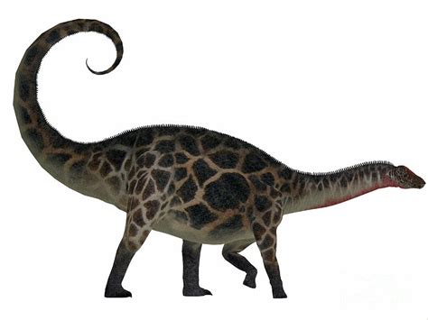 Dicraeosaurus Side Profile Painting by Corey Ford