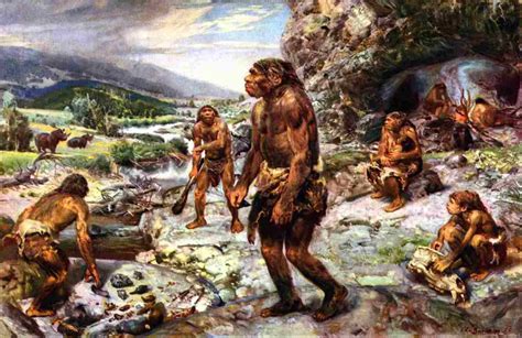 Did The Homo Sapiens Kill The Neanderthals? | Times ...