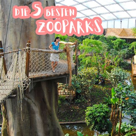 Die 5 besten Zooparks | MeinBaby123.de