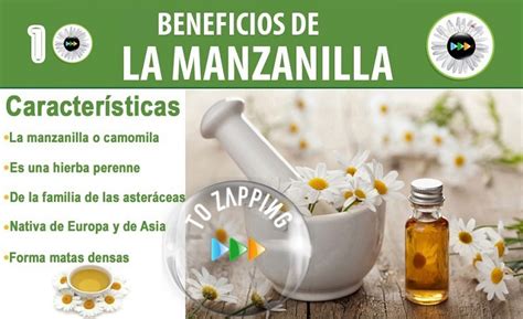 Diez beneficios de la manzanilla   Tozapping.com