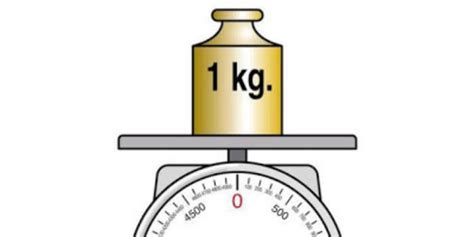 Diferencia entre libra y kilogramo