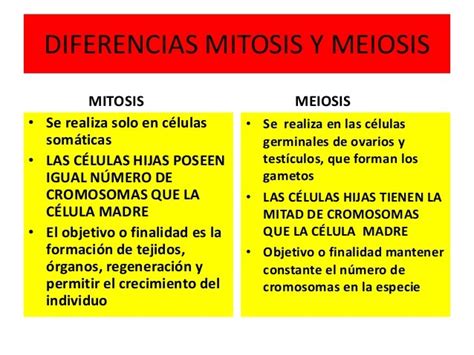 Diferencia entre mitosis y meiosis: Cuadros comparativos e ...