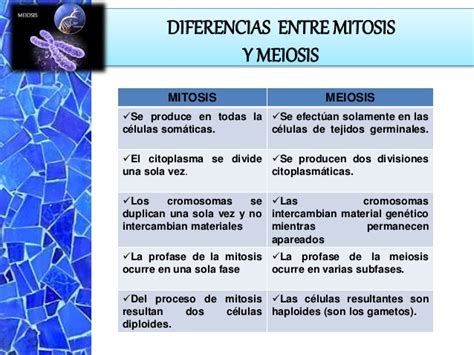 Diferencias entre mitosis y meiosis | Cuadro Comparativo