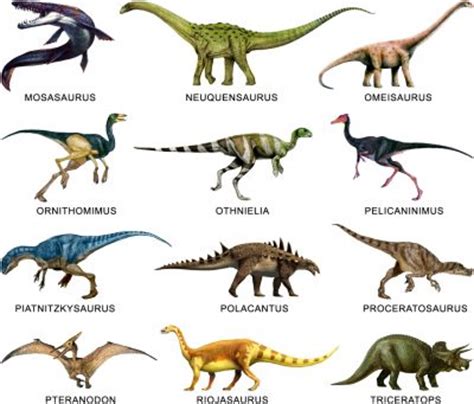 diferentes tipos de dinosaurios y sus nombres | COMICS ...