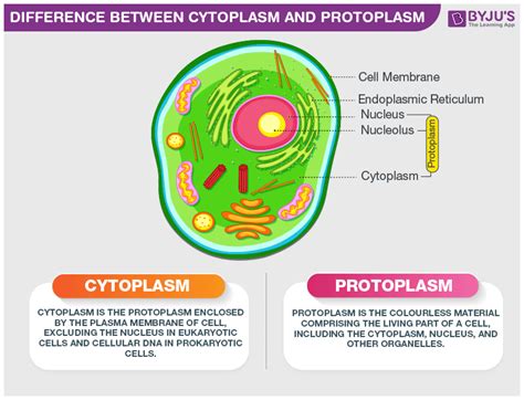 Difference Between Cytoplasm and Protoplasm are explained ...
