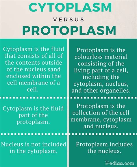 Difference Between Cytoplasm and Protoplasm