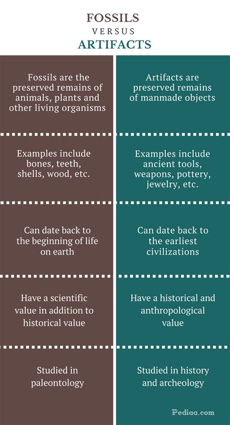 Difference Between Fossils and Artifacts | Definition ...