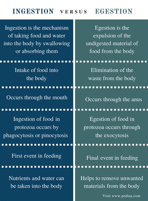 Difference Between Ingestion and Egestion | Definition ...