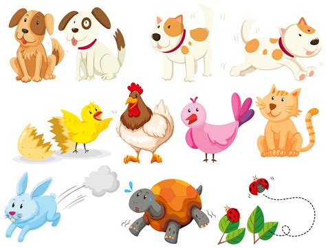 Different kind of domestic animals   Download Free Vectors ...